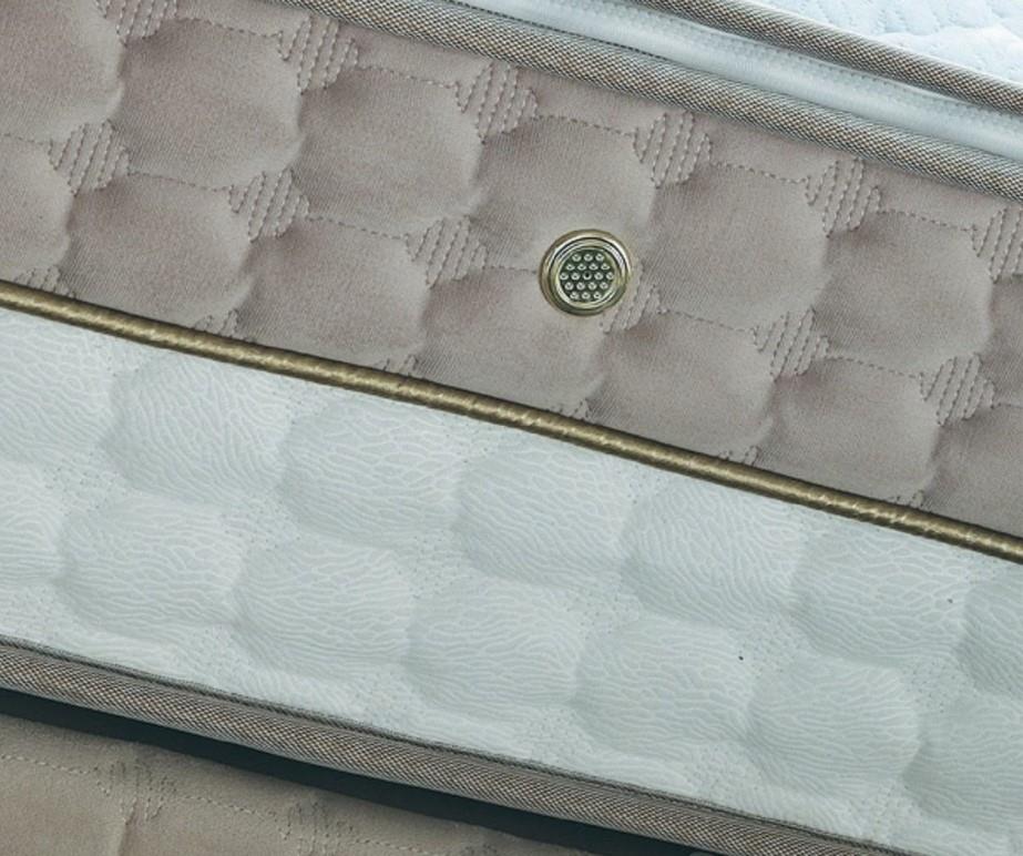 Golden Delux Çıkarılabilir Kılıflı